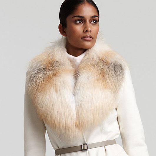 finn golden island fox collar