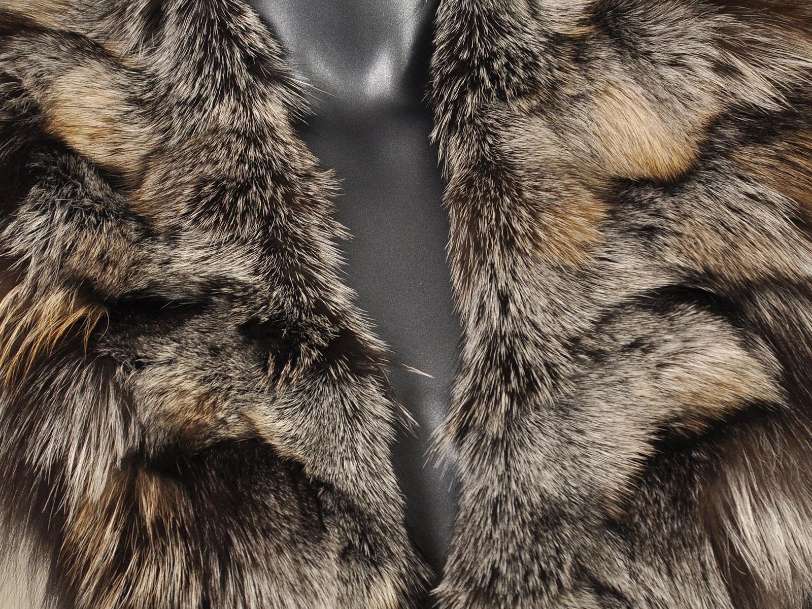 crystal silver fox legs collar