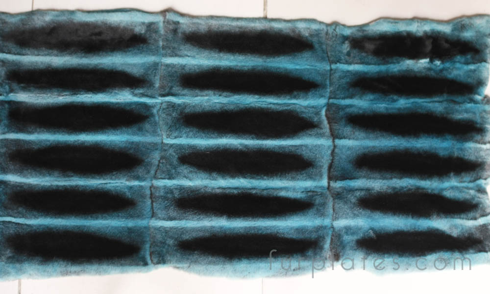 blue chinchilla rex rabbit plate