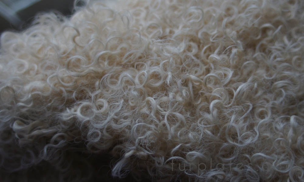 curly lamb kalgan lamb plate cream color