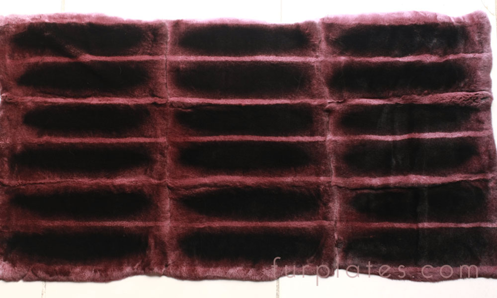dark pink chinchilla rex rabbit plate