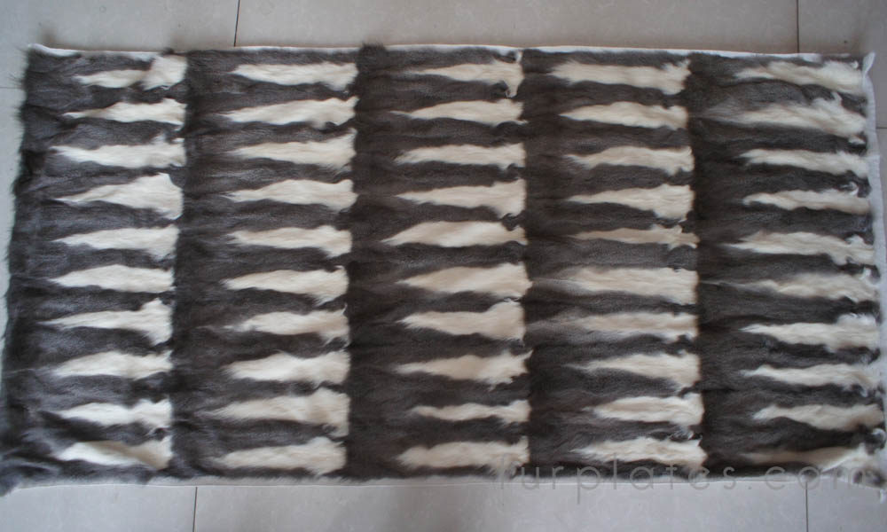 grey squirrel belly fur plate