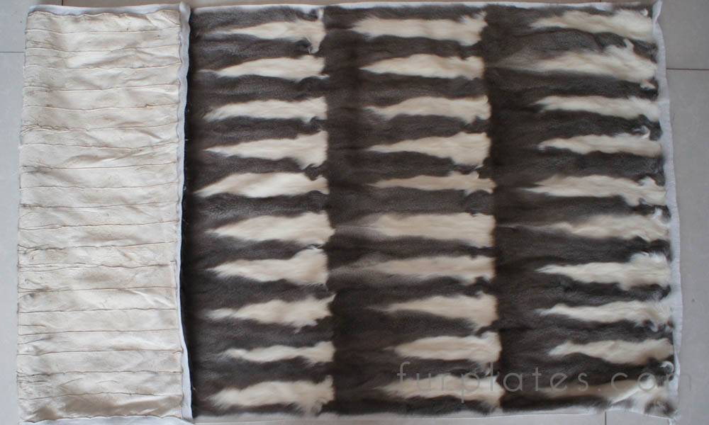 grey squirrel belly skin plate