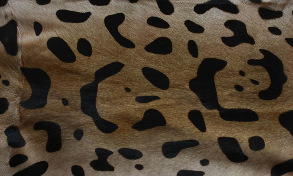 leopard printing kid goat plate
