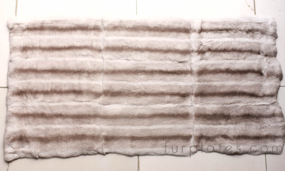 light beige chinchilla rex rabbit plate