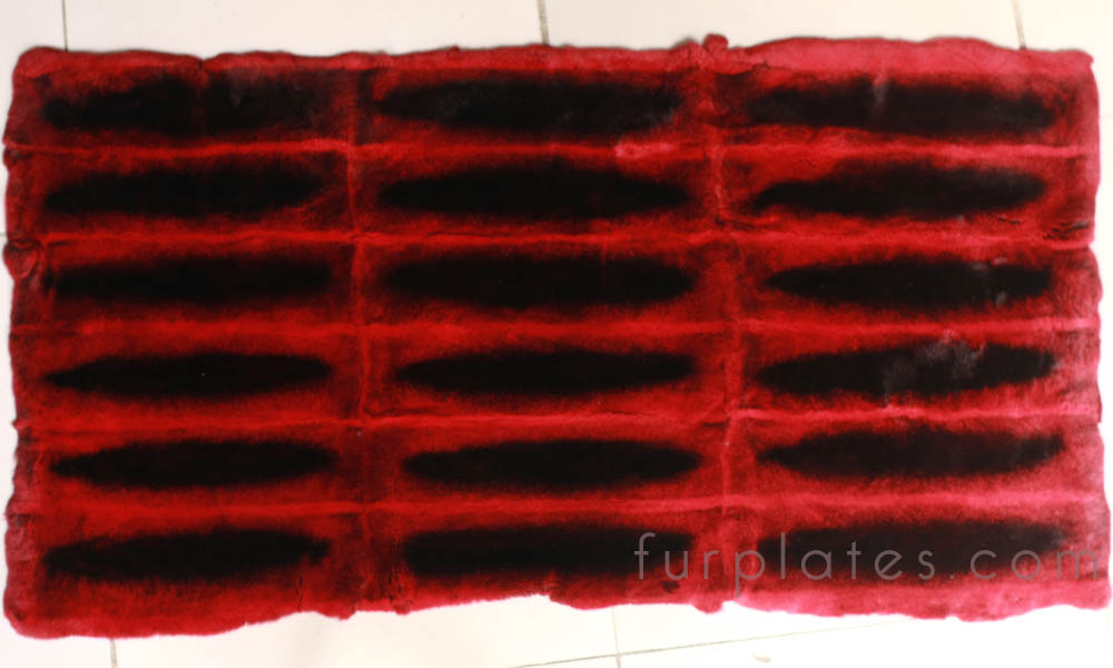 light red chinchilla rex rabbit plate