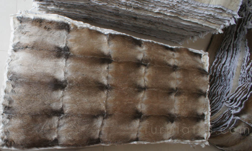 musquash muskrat belly fur plate