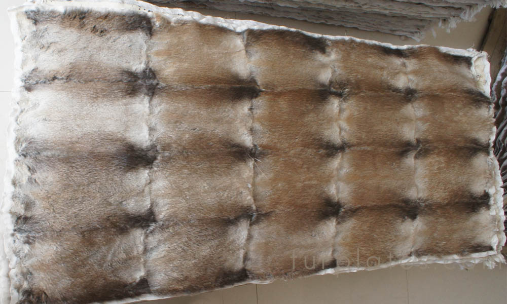 musquash muskrat belly fur plate