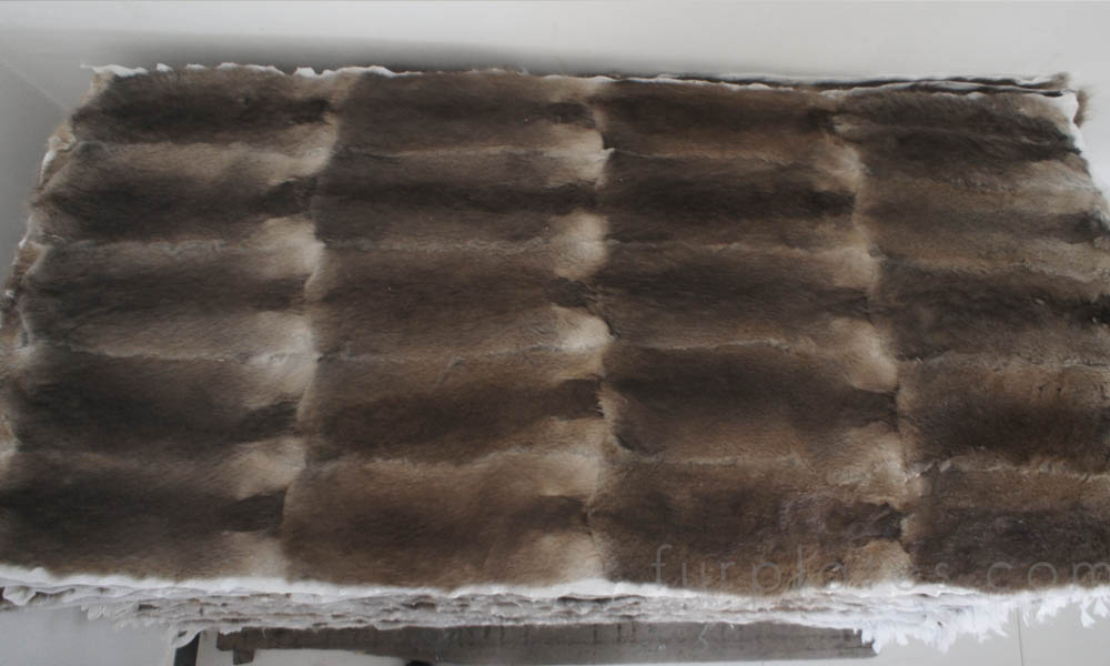 musquash muskrat back fur plate