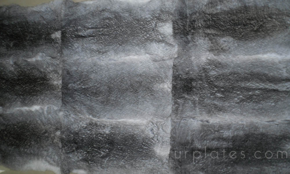 natural grey chinchiilla rabbit plate plucked