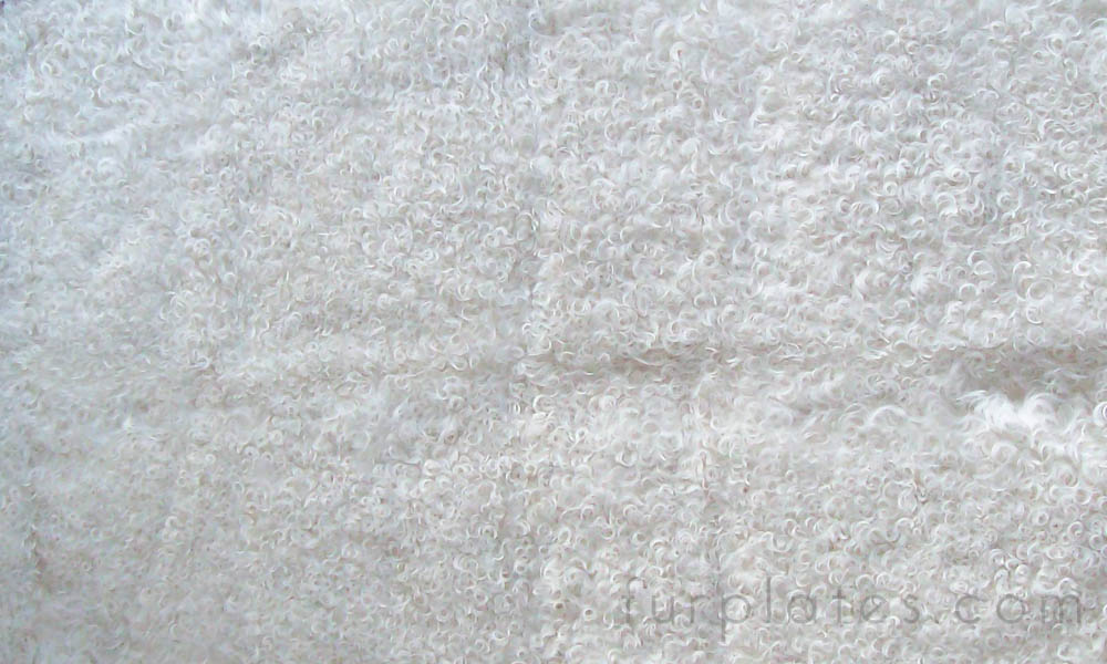 white curly lamb kalgan lamb plate