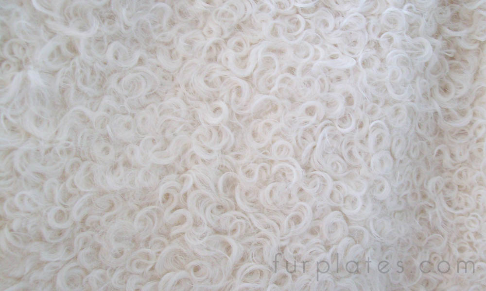 white curly lamb kalgan lamb plate