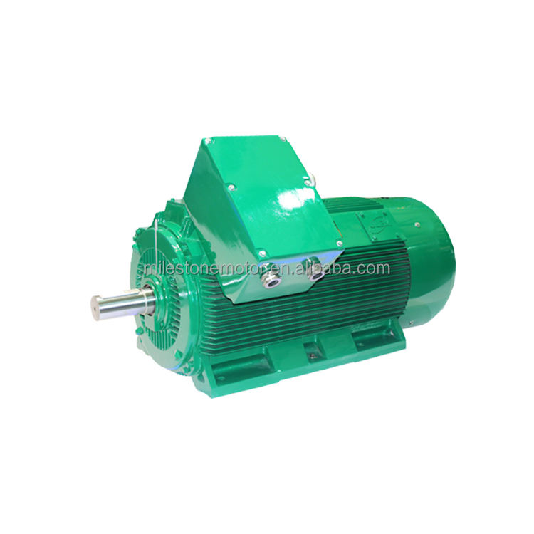 Ac Induction Three-phase Electric Asynchronous NEMA Standard 1KV-13KV High Voltage Motor