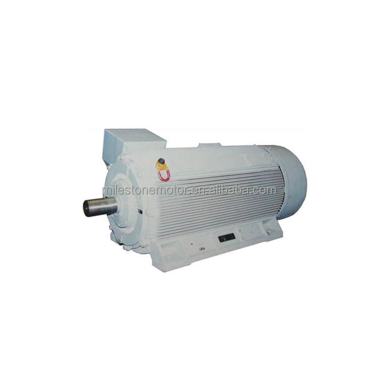 Ac Induction Three-phase Electric Asynchronous NEMA Standard 1KV-13KV High Voltage Motor