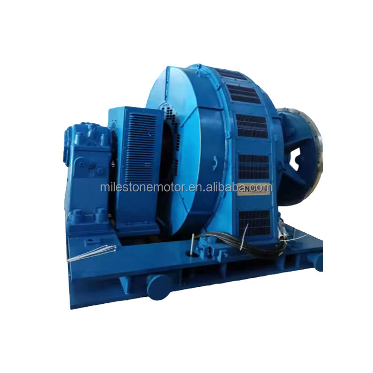 Ac Mikro Senkron Motor 450hp 4000v 300rpm 3fazlı Ac 60hz Üç Fazlı Elektrik Motoru Asenkron Motor