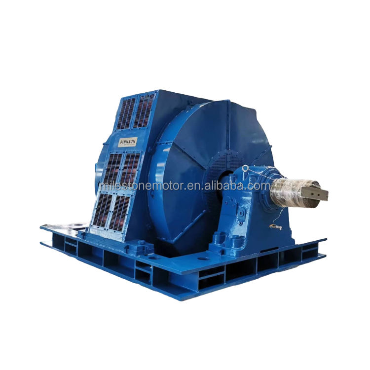 Ac Mikro Senkron Motor 450hp 4000v 300rpm 3fazlı Ac 60hz Üç Fazlı Elektrik Motoru Asenkron Motor