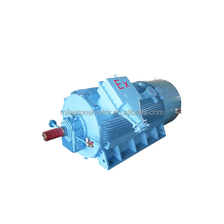 Atex Explosion Proof Motor Ac Induction Ic511 Electro Motor Explosion Proof YKK High-Voltage High Voltage Motor