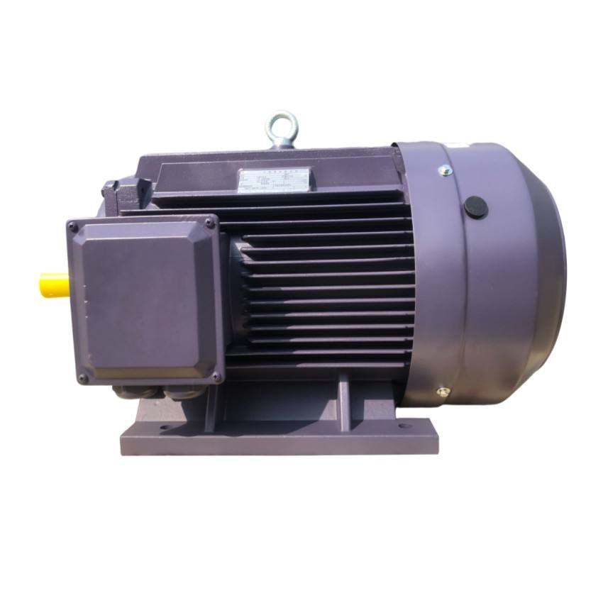 Motori elettrici a induzione per motociclette 75 Motore a induzione trifase HP Teco 315kw/355kwtensione standard 4 Motore a induzione CA a 6 poli