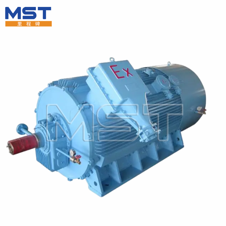 Electric Proof Motor 550kw Three-phase Ac Induction Electro Motor Explosion Proof Ac Induction Motor