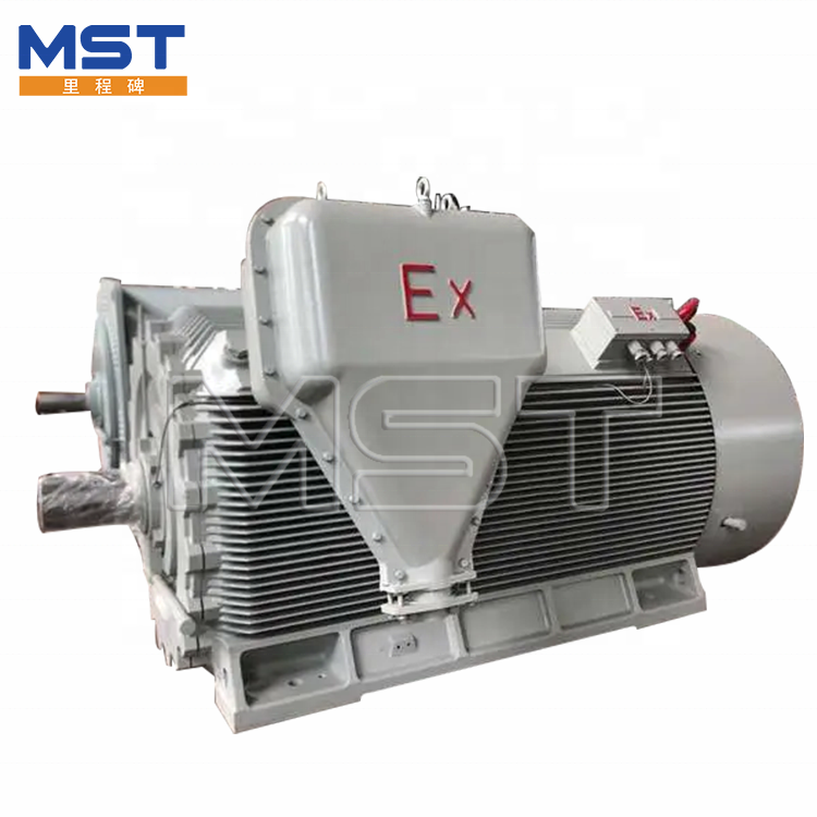 Electric Proof Motor 550kw Three-phase Ac Induction Electro Motor Explosion Proof Ac Induction Motor