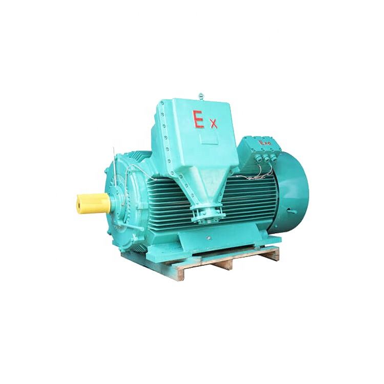Electric Proof Motor 550kw Three-phase Ac Induction Electro Motor Explosion Proof Ac Induction Motor