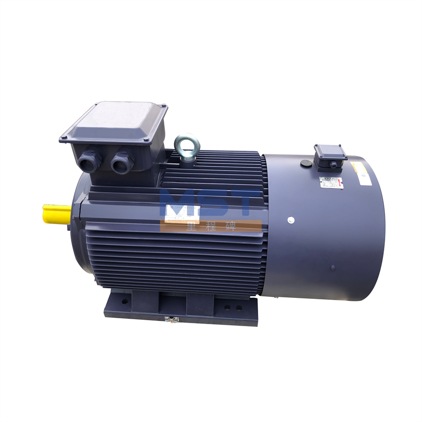 High Efficiency 3 Phase Vibration High Efficiency Three-Phase Induction Motor 22kw