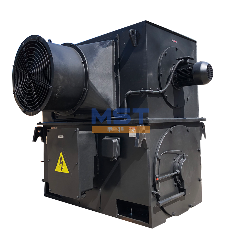 Large Size 6.6kv Asynchronous AC Three Phase Electrical Motor 1600kW High Voltage Electric Motor