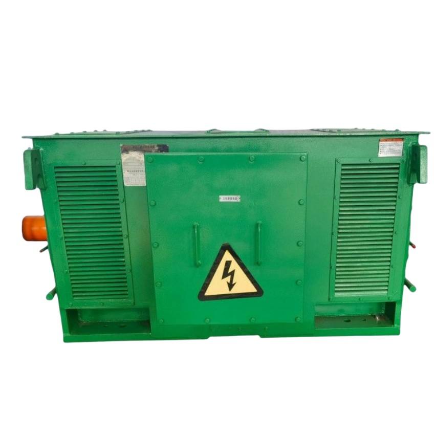 Large Size 6.6kv Asynchronous AC Three Phase Electrical Motor 1600kW High Voltage Electric Motor