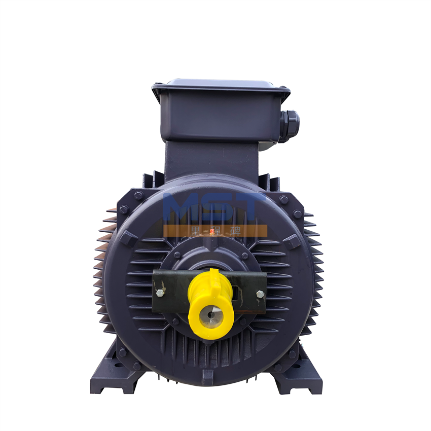 Siemens Electric 132 kW Siemens Elektromotoren 55 kW Siemens Heavy Motor 4000 PS