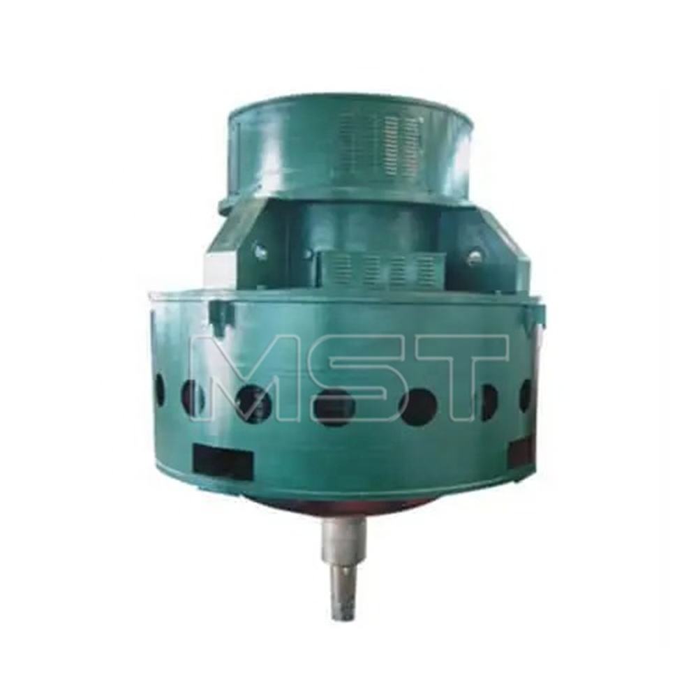 T Series Permanent Magnet Synchronous Motor 1000kw 6kv Ac Induction Motor Highvoltage Motor