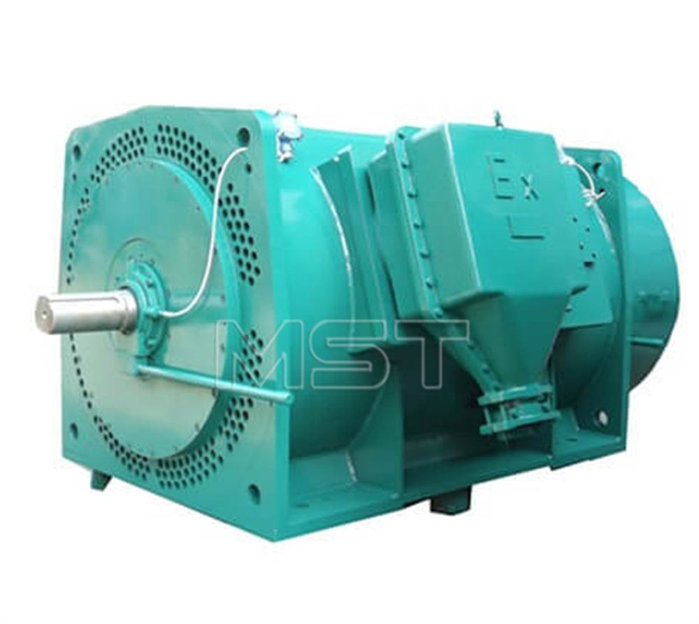 Motore trifase antideflagrante Motore elettrico a induzione antideflagrante da 710 kW