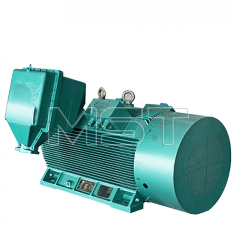 Motore trifase antideflagrante Motore elettrico a induzione antideflagrante da 710 kW