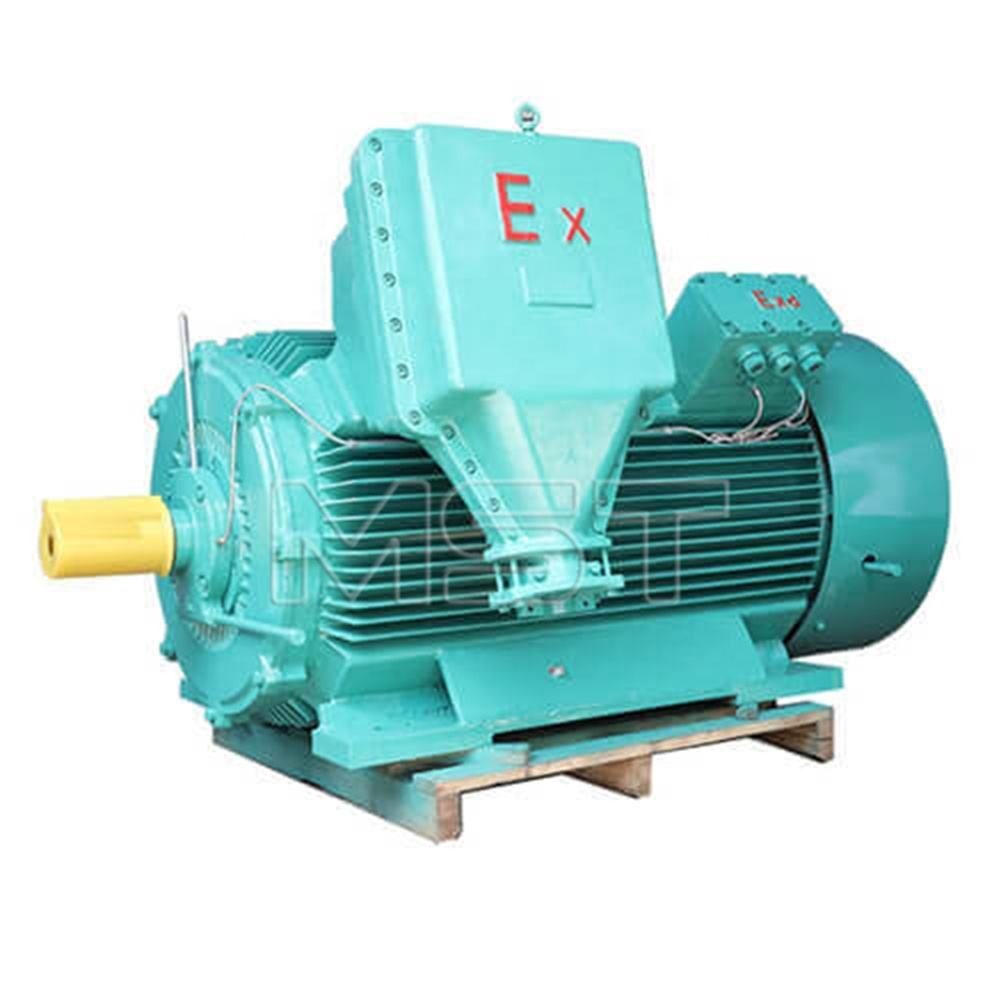 Motore trifase antideflagrante Motore elettrico a induzione antideflagrante da 710 kW