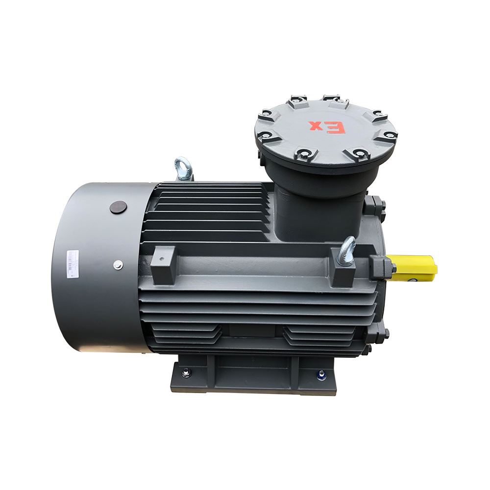 Wholesale Factory AC Three Phase Induction Asynchronous Ex Electric Motor