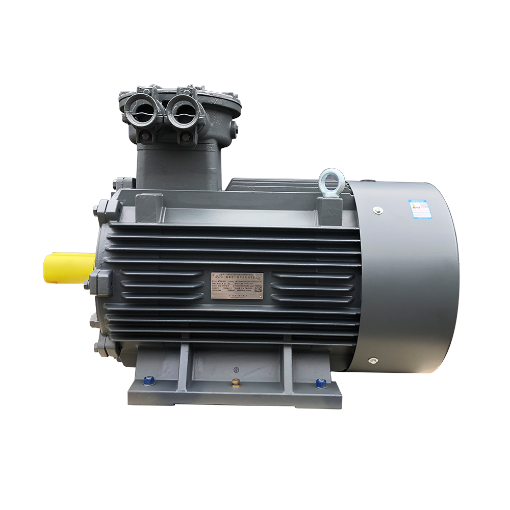 Wholesale Factory AC Three Phase Induction Asynchronous Ex Electric Motor