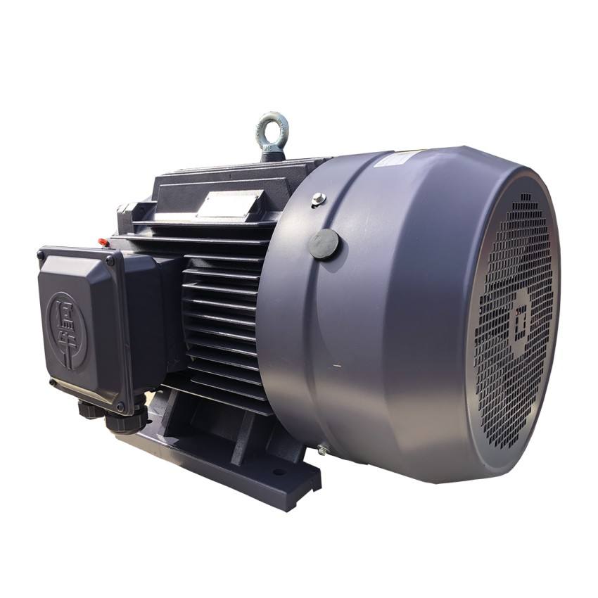 YE3 22KW TEFC Type Three Phase Induction Electric Asynchronous Squirrel Cage Motor for Sale