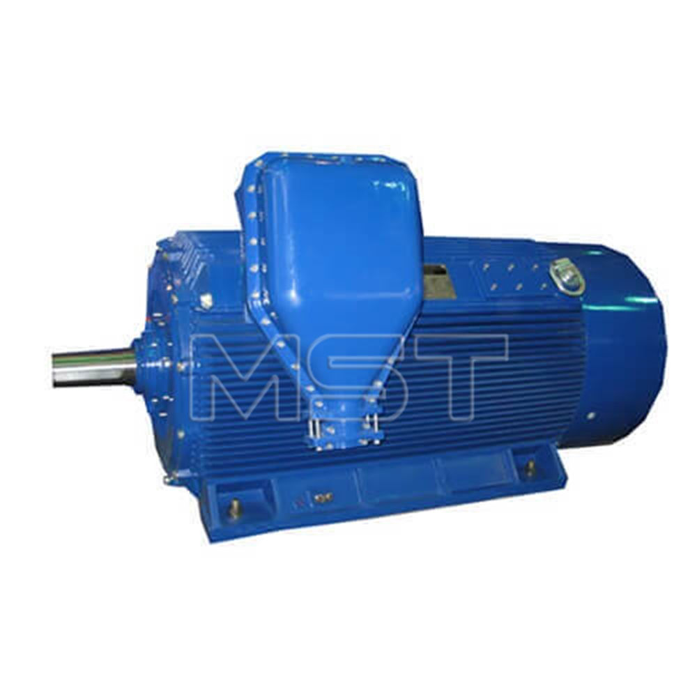 Motor a prueba de explosiones de alto voltaje Yb Motor eléctrico de CA 6kv Motor de alto voltaje a prueba de explosiones