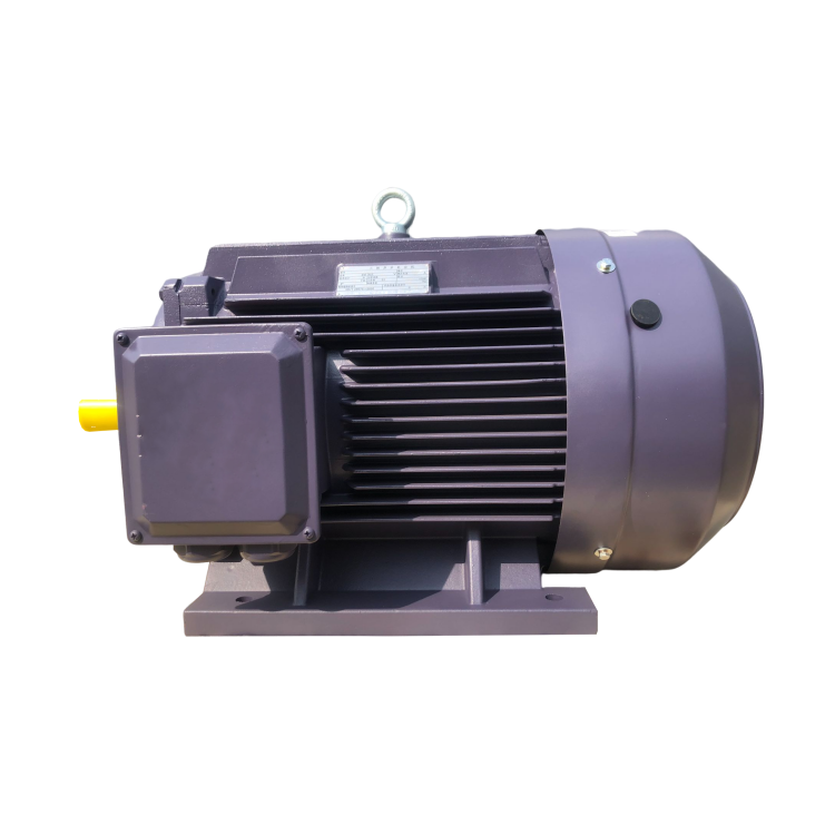 Elektrische voorzieningen TEFC-type inductiemotor YE2/YE3 Driefasige asynchrone motor