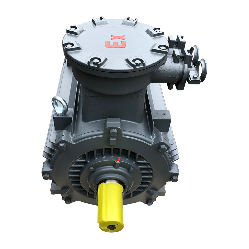 Explosionsgeschützter Wechselstrommotor Ie3 Ip55 Exd Iic T4 Asynchron, Explosionsgeschützter 22 kW asynchroner explosionsgeschützter elektrischer 1250 kW