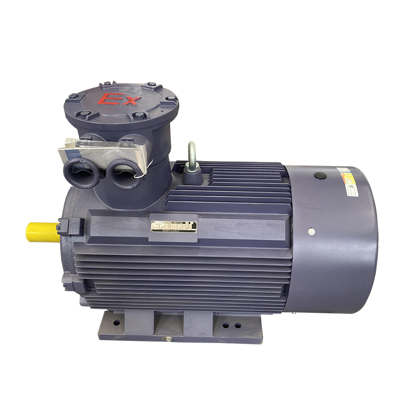 Explosionsgeschützter Wechselstrommotor Ie3 Ip55 Exd Iic T4 Asynchron, Explosionsgeschützter 22 kW asynchroner explosionsgeschützter elektrischer 1250 kW
